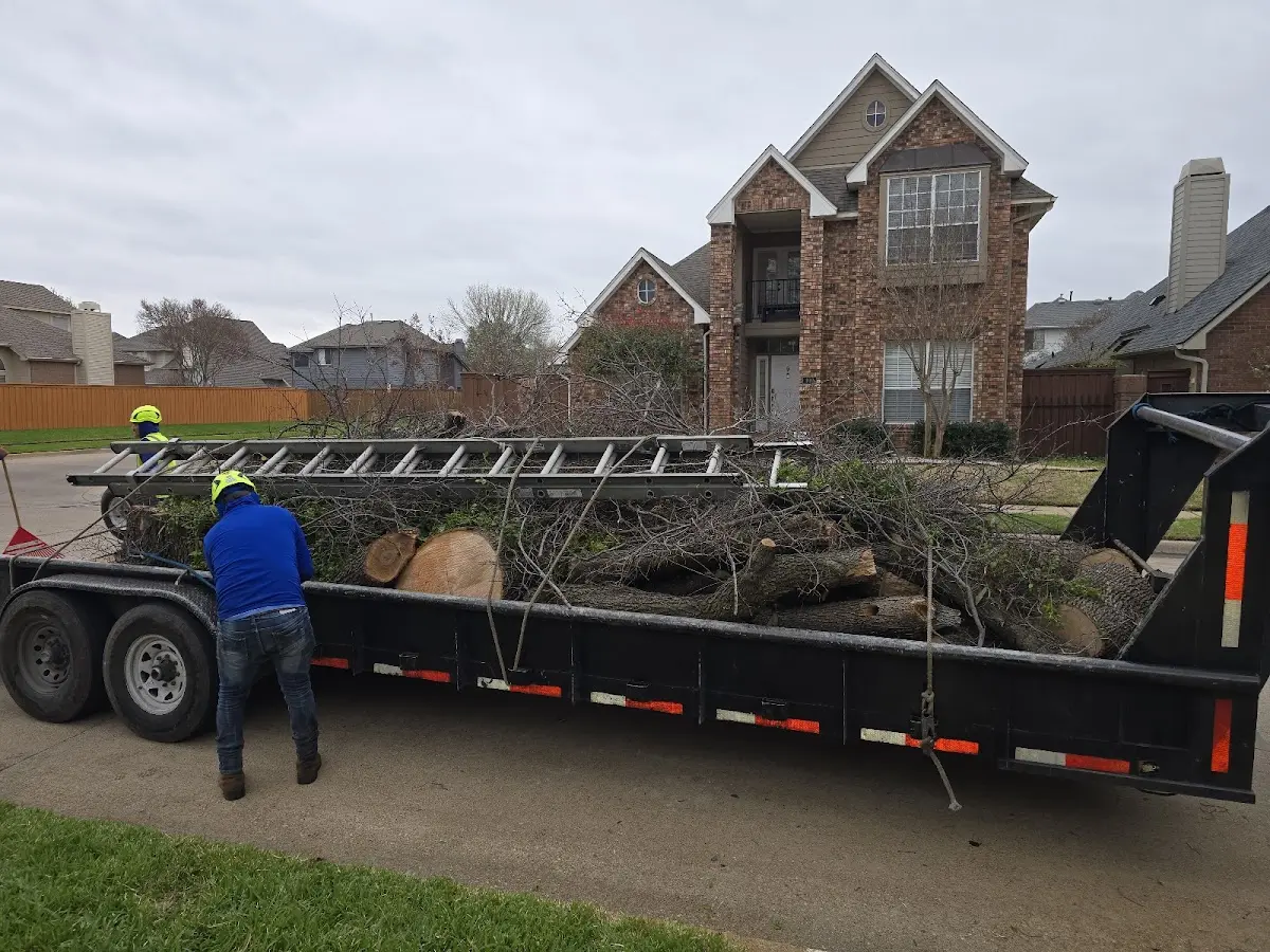 Expert Crown Reduction with proper safety equipment in Island Lake